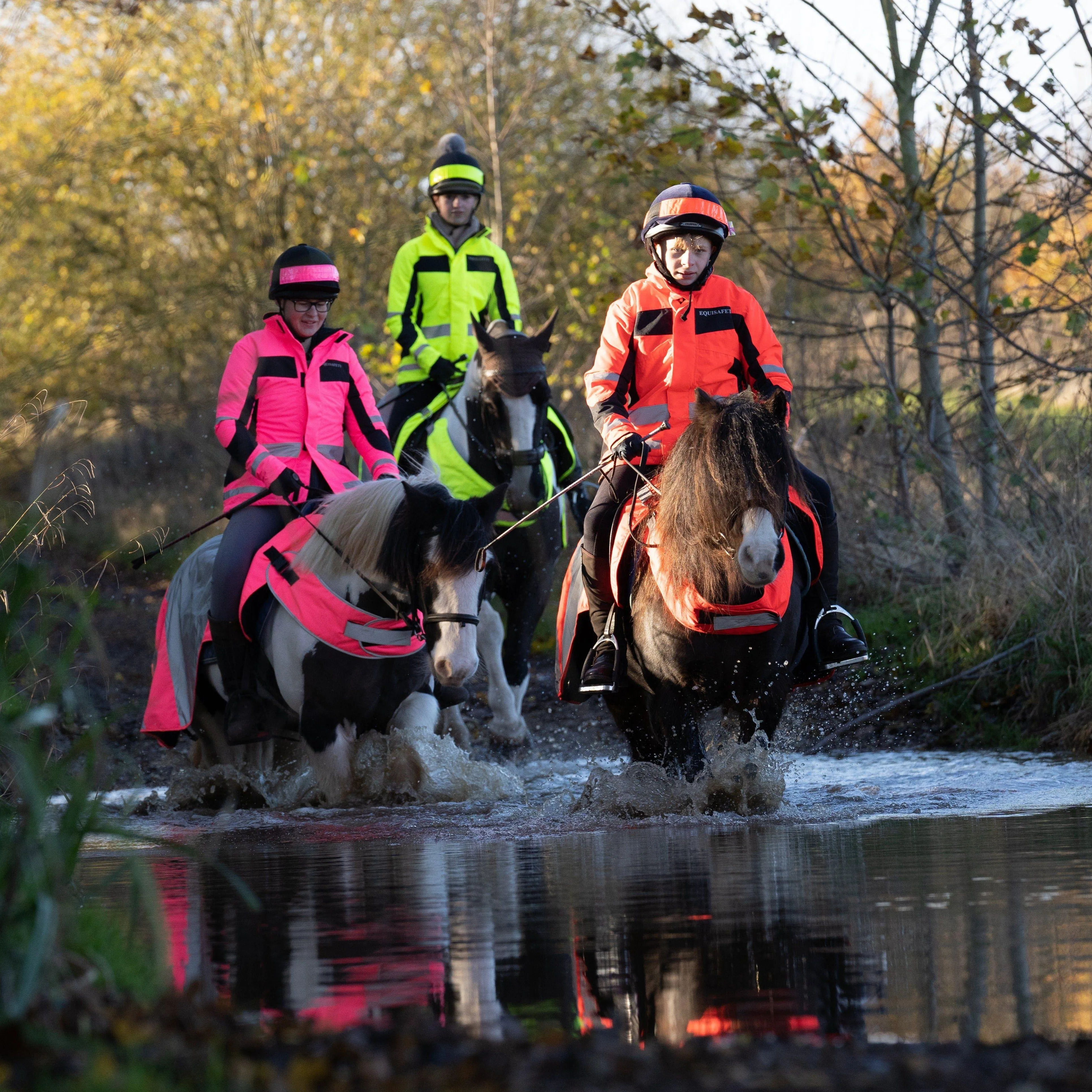 Equisafety Reflective Mercury Horse Hi Viz Exercise Rug in Pink