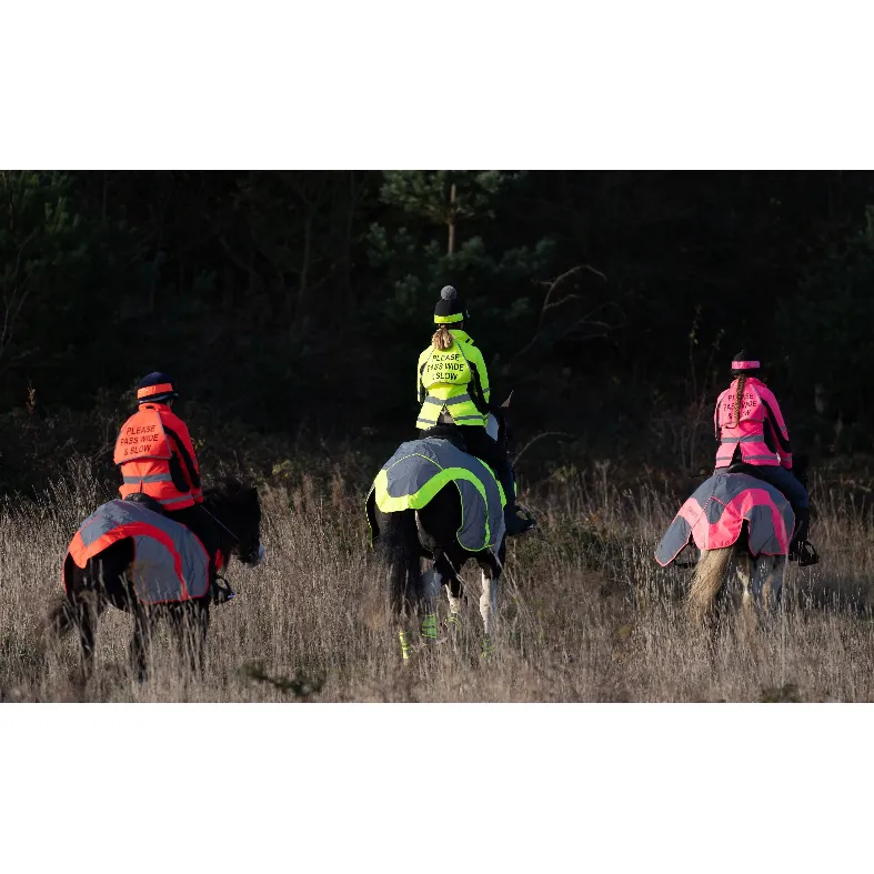 Equisafety Reflective Mercury Horse Hi Viz Exercise Rug in Pink