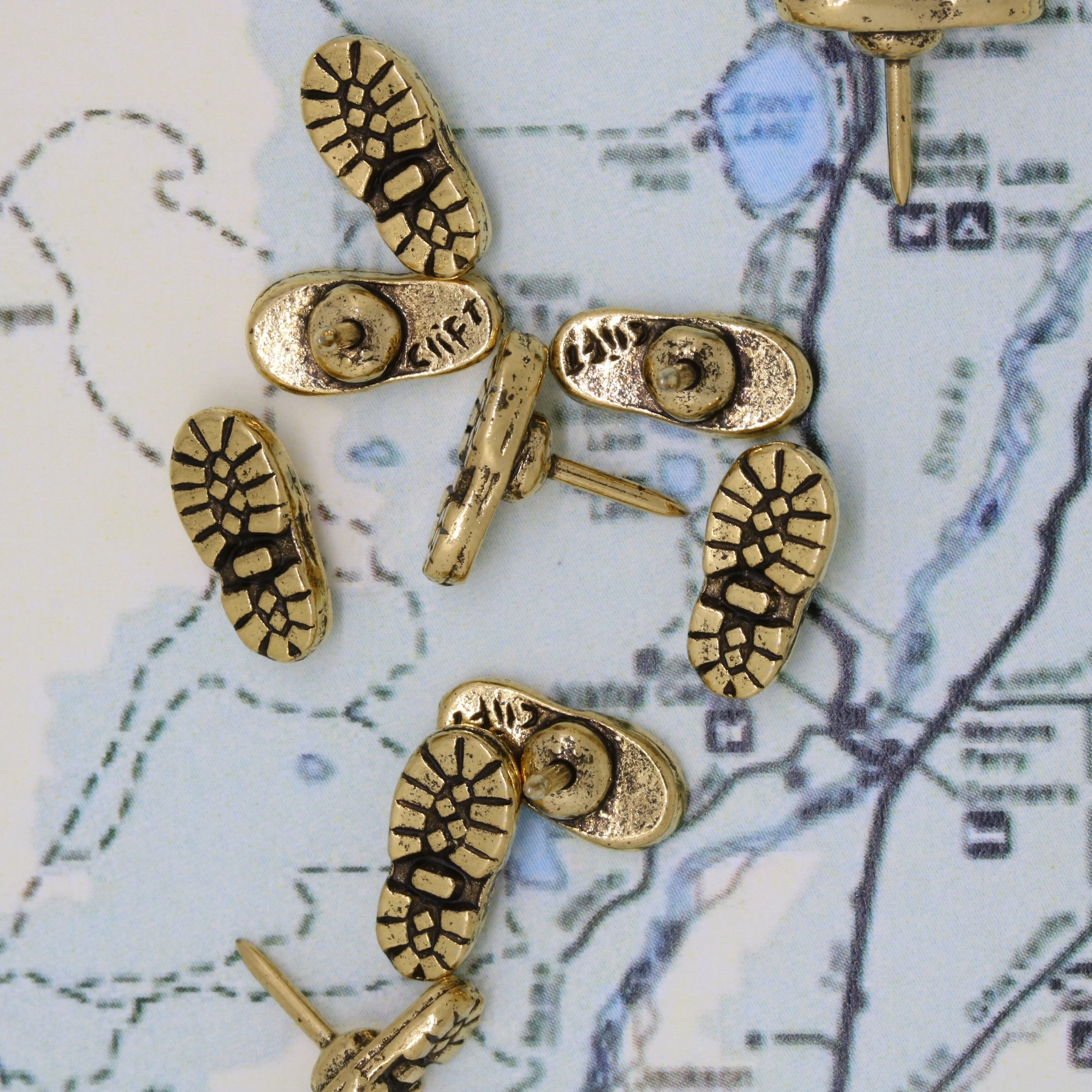 Hiking Boot Map Pins